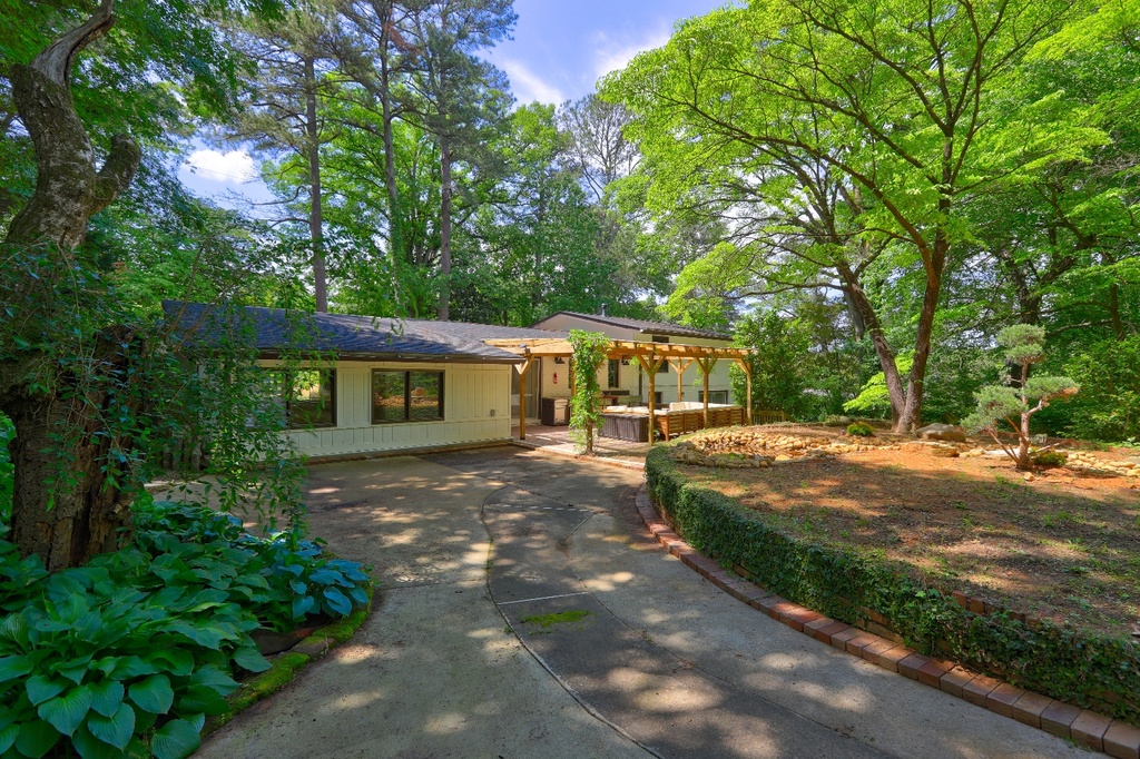 3497 Backyard 3.jpg